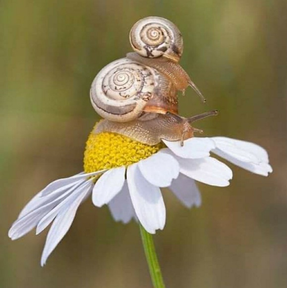 Meet your Posher, Kelley - Picture 1 of 1